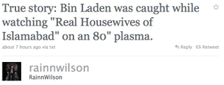 Illustration for article titled Celebs Have Mixed Feelings Over Osama Bin Laden's Death